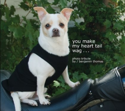 You Make My Heart Tail Wag book cover