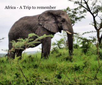 Africa - A Trip to remember book cover