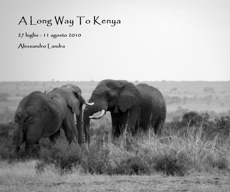 View A Long Way To Kenya by Alessandro Landra
