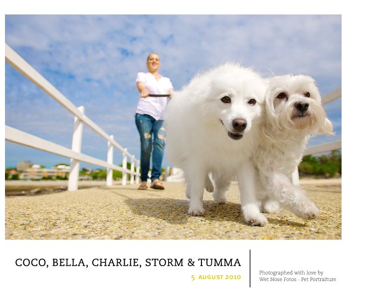 Ver Coco, Bella, Charlie, Storm & Tumma por Wet Nose Fotos