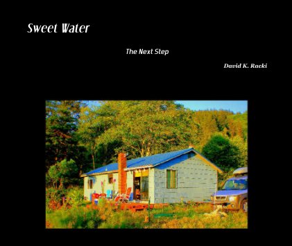 Sweet Water book cover