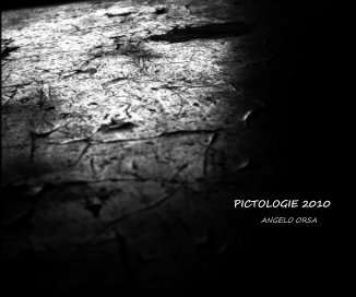 PICTOLOGIE 2010 book cover