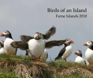 Birds of an Island book cover