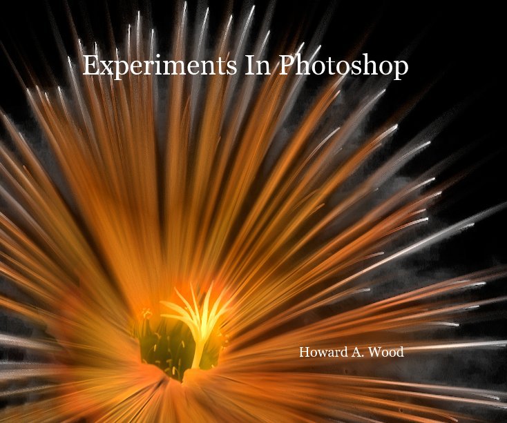 View Experiments In Photoshop by Howard A. Wood