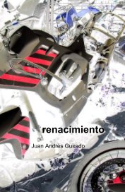 renacimiento book cover