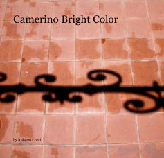 Camerino Bright Color book cover