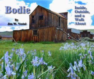 Bodie book cover