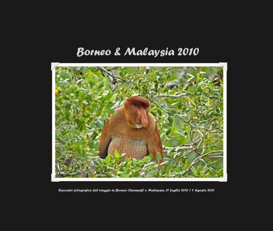 View Borneo & Malaysia 2010 by Racconto fotografico del viaggio in Borneo (Sarawak) e Malaysia. 17 Luglio 2010 / 7 Agosto 2010