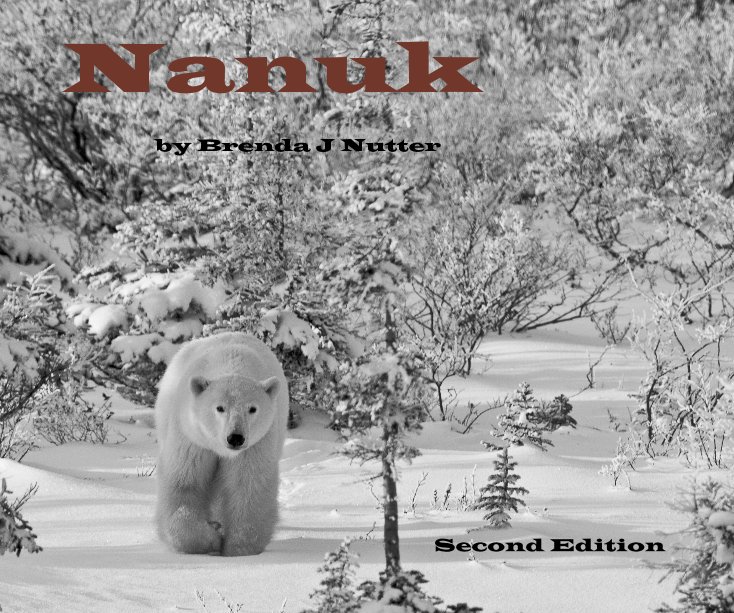 View Nanuk by Brenda J Nutter