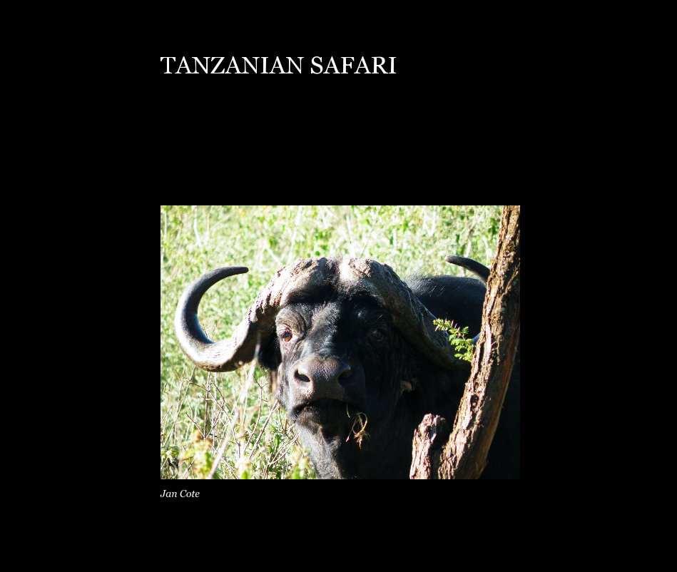 View TANZANIAN SAFARI by Jan Cote