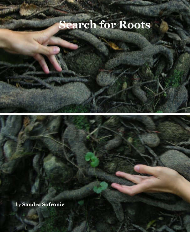 View Search for Roots by Sandra Sofronic
