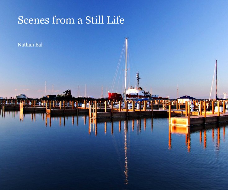 Ver Scenes from a Still Life por Nathan Eal