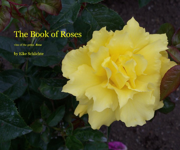 View The Book of Roses by Elke Schlichte