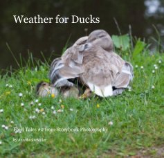 Weather for Ducks book cover
