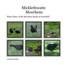 Micklethwaite Moorhens book cover