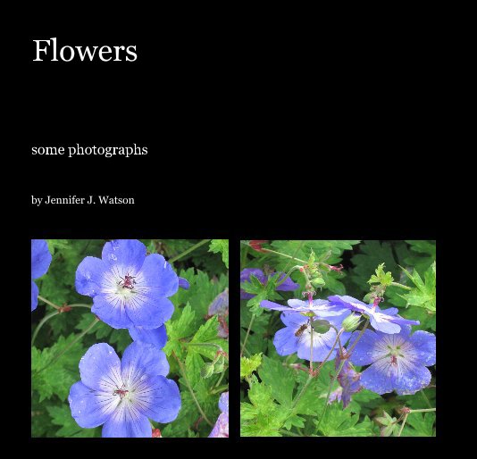 View Flowers by Jennifer J. Watson