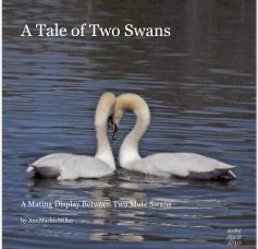 A Tale of Two Swans book cover
