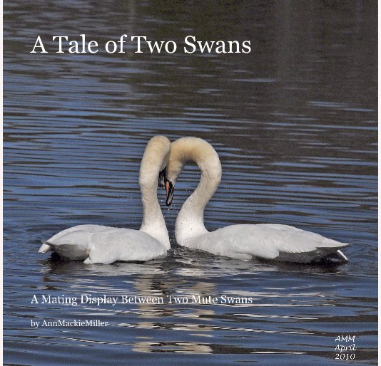 View A Tale of Two Swans by AnnMackieMiller