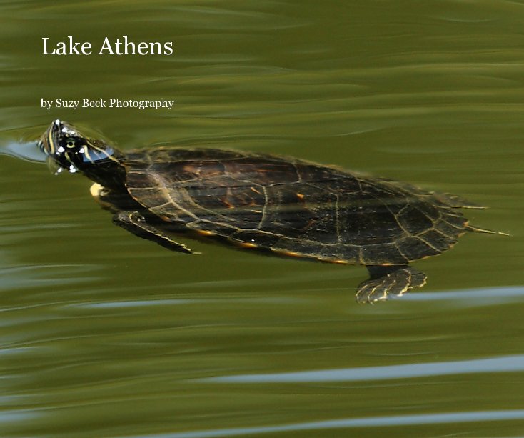 Bekijk Lake Athens op Suzy Beck Photography