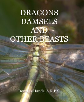 DRAGONS DAMSELS AND OTHER BEASTS book cover