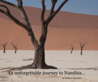 An unforgettable journey to Namibia... book cover