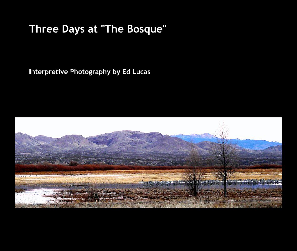 View Three Days at "The Bosque" by Ed Lucas