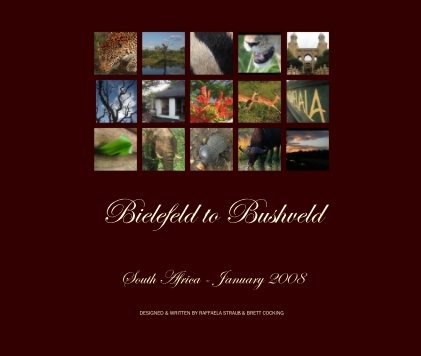 Bielefeld to Bushveld book cover