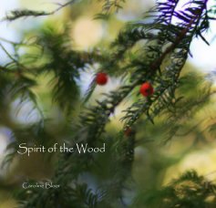 Spirit of the Wood book cover