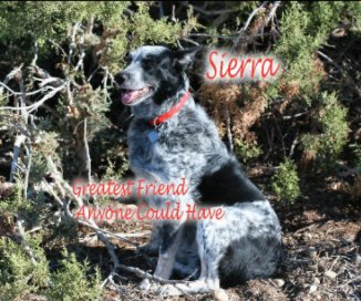 Sierra book cover