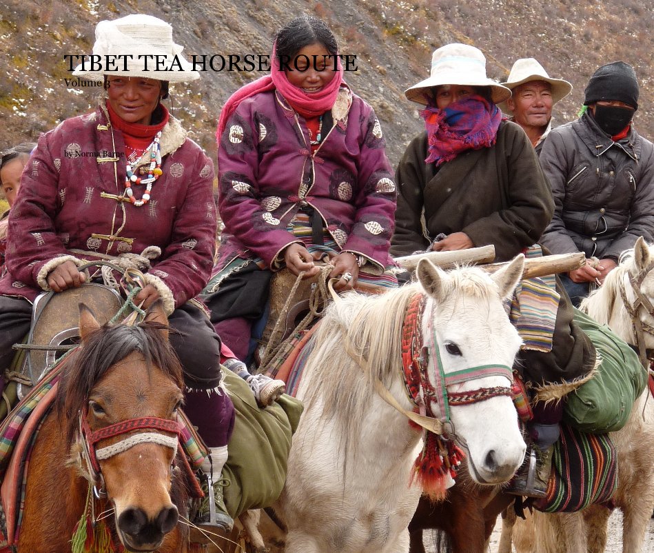 Ver TIBET TEA HORSE ROUTE Volume 3 por Norma Barne