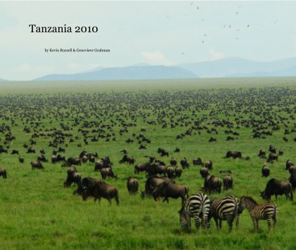 Tanzania 2010 book cover