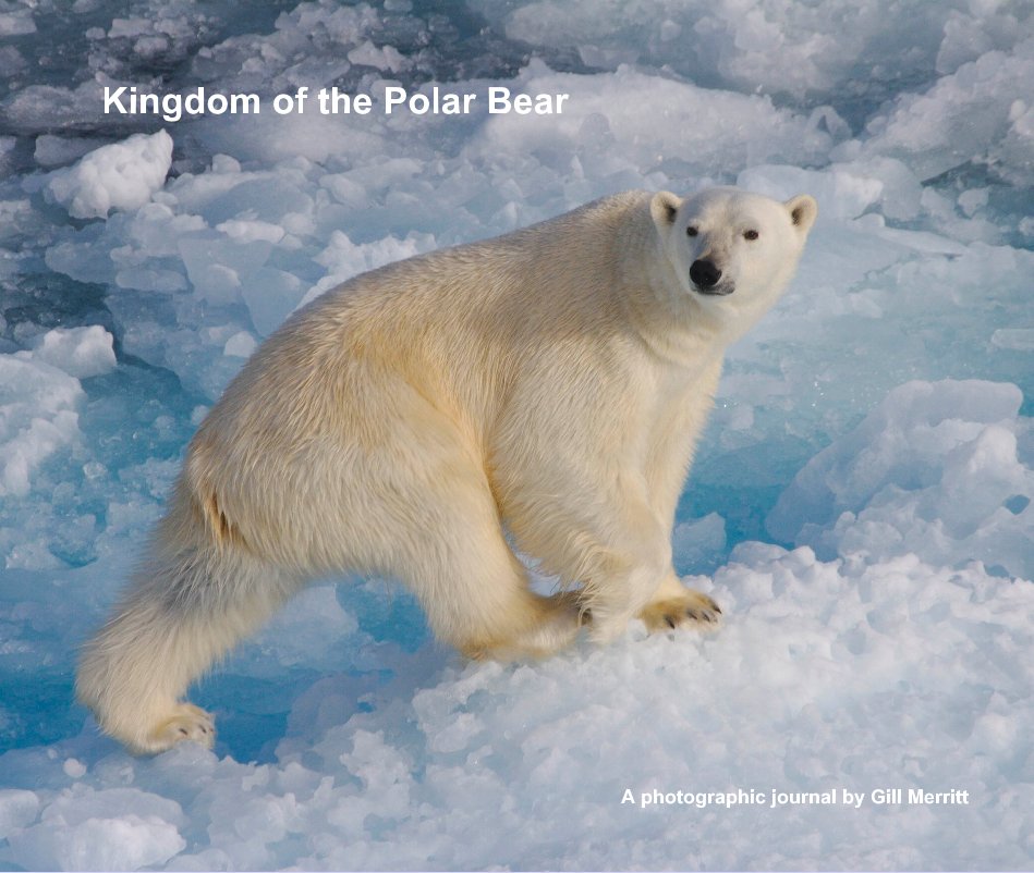 View Kingdom of the Polar Bear by A photographic journal by Gill Merritt