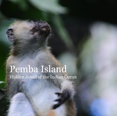 Pemba Island Hidden Jewel of the Indian Ocean book cover