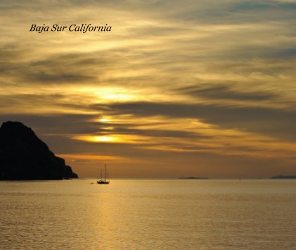 Baja Sur California book cover