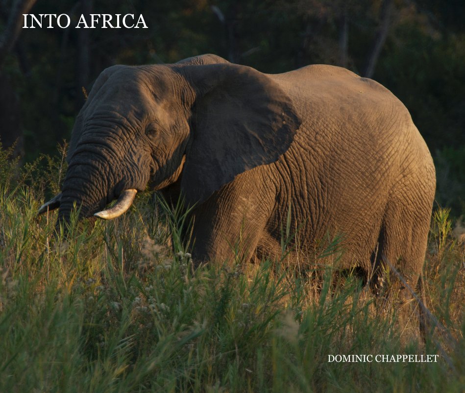 View INTO AFRICA by DOMINIC CHAPPELLET