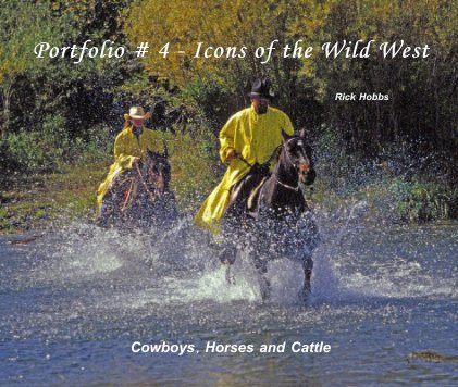 Portfolio # 4 - Icons of the Wild West book cover