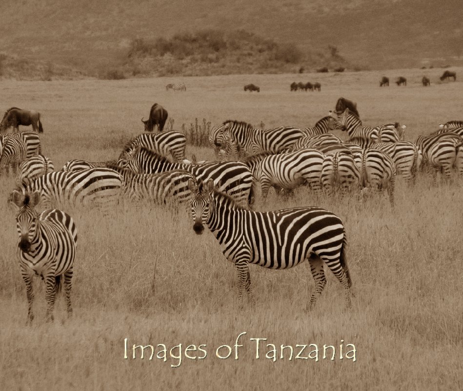 Visualizza Images of Tanzania di Anny Lau
