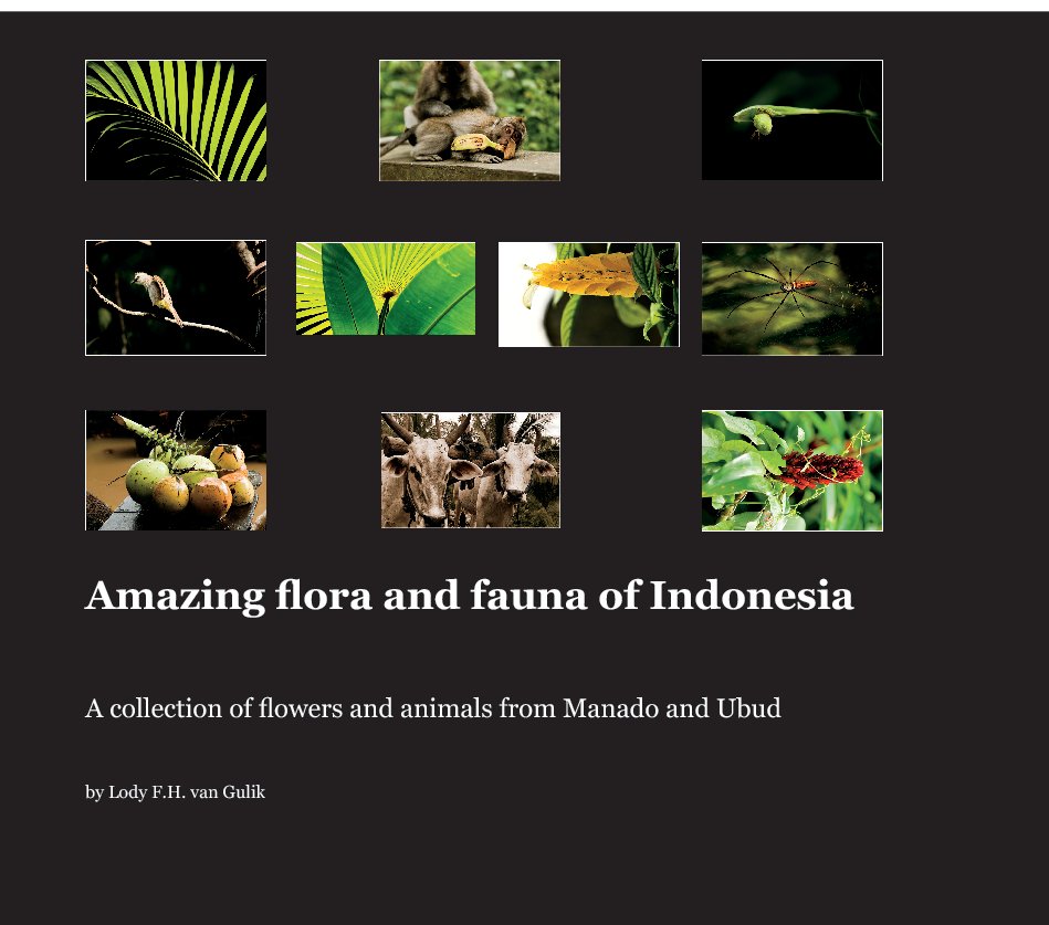 Flora and Fauna of Indonesia de Lody FH van Gulik | Libros de Blurb España