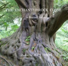 THE ENCHANTED ROCK CLOSE in Blarney, Ireland book cover