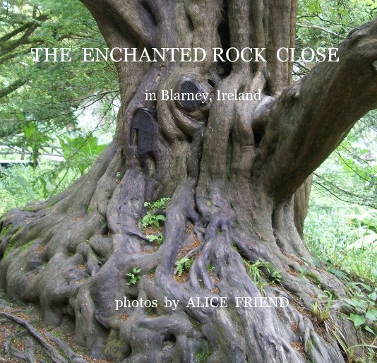 Visualizza THE ENCHANTED ROCK CLOSE in Blarney, Ireland di dovefriends