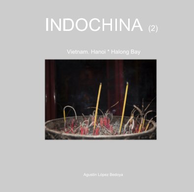 INDOCHINA (2) book cover