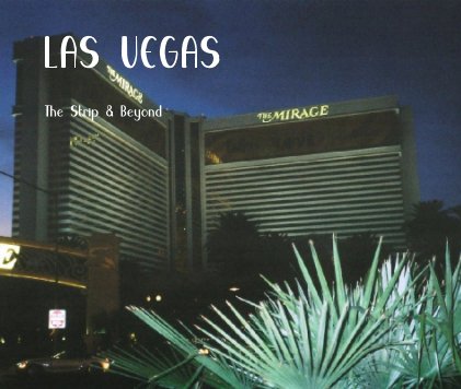 LAS VEGAS 2008 book cover