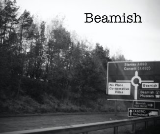 Beamish book cover
