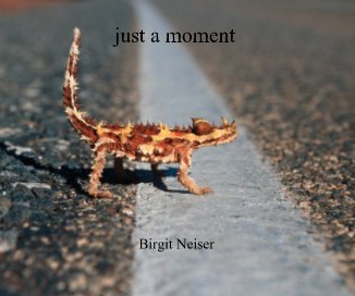 just a moment Birgit Neiser book cover