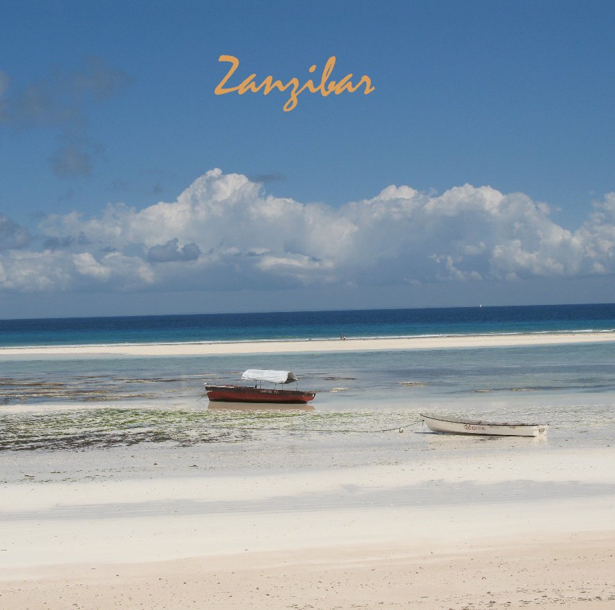 View Zanzibar by terri harrison