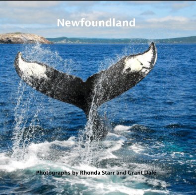 Newfoundland book cover