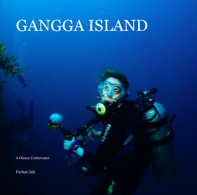 GANGGA ISLAND book cover