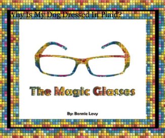 THE MAGIC GLASSES book cover