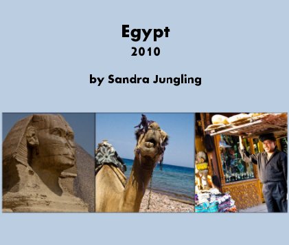 Egypt 2010 book cover