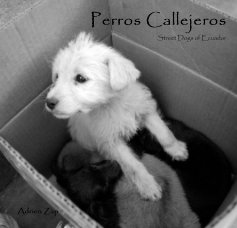 Perros Callejeros book cover